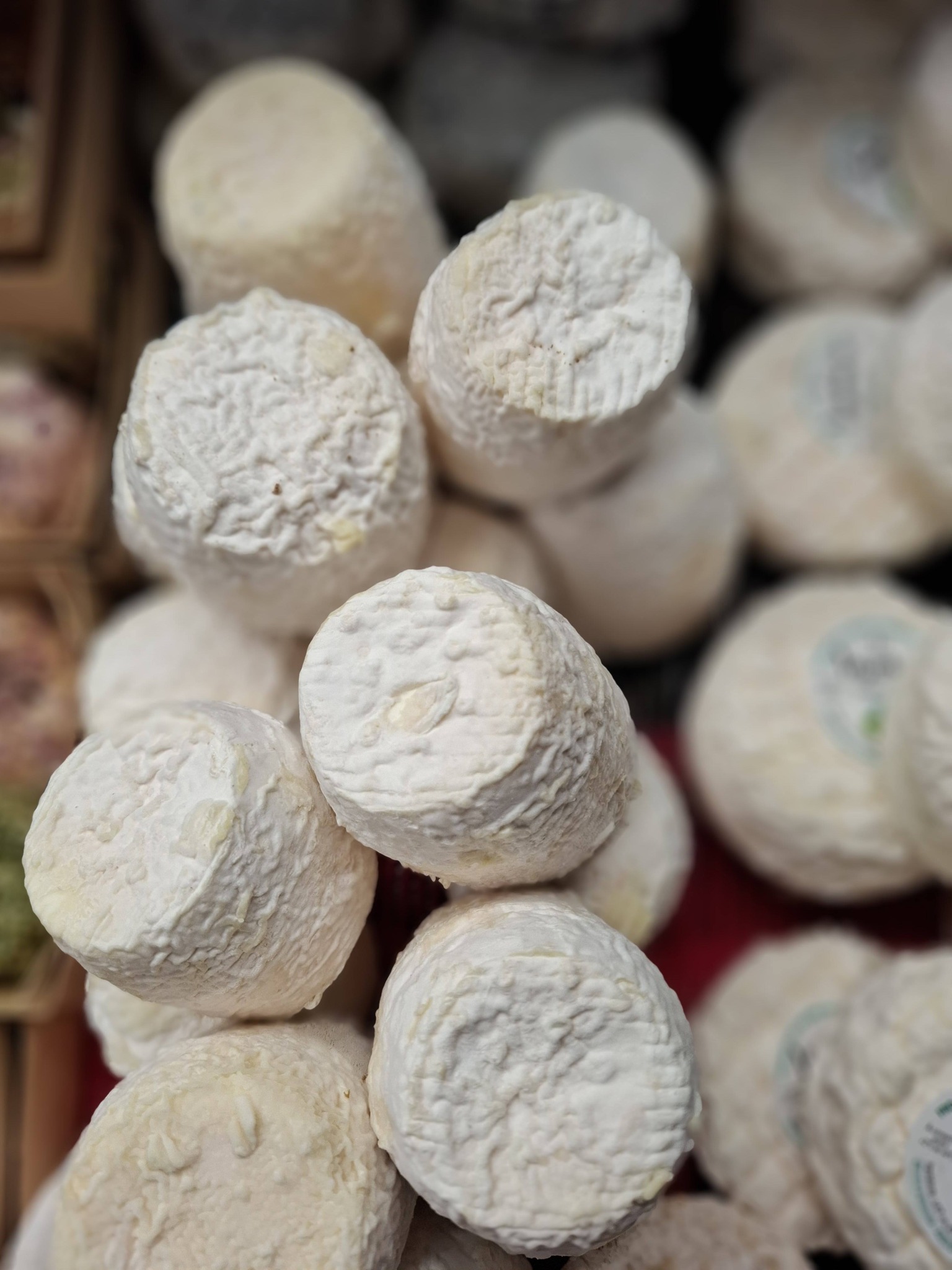 Les fromages de Sylvie